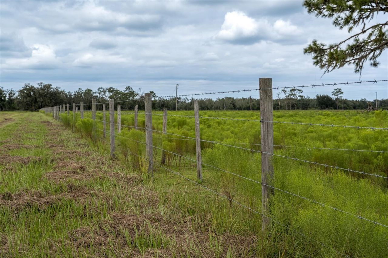 32715 Singletary Road, Myakka City, FL 34251 Photo