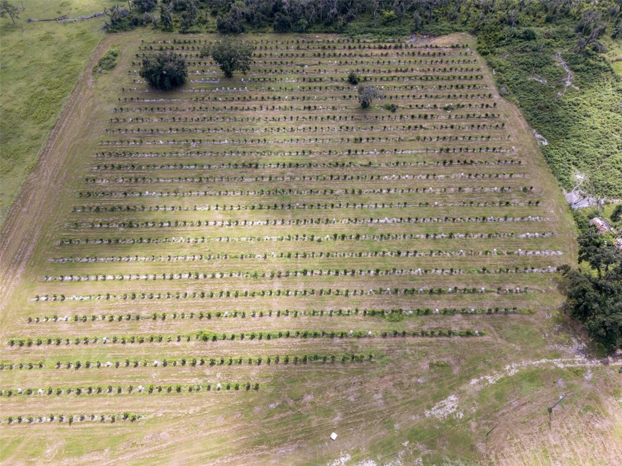 32715 Singletary Road, Myakka City, FL 34251 Photo