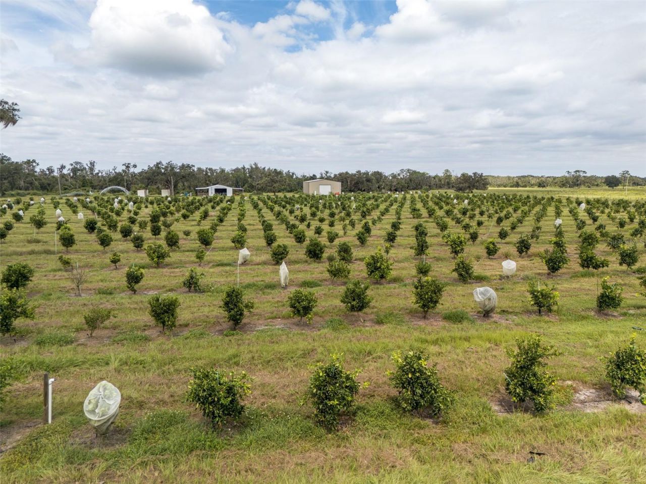 32715 Singletary Road, Myakka City, FL 34251 Photo