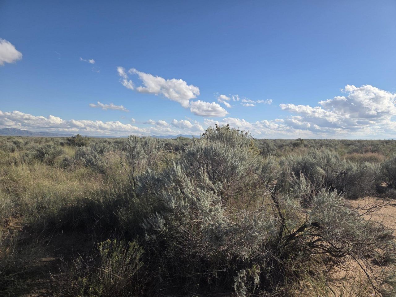 Rdo Lot 2 Block 2, Lot #51, Los Lunas, NM 87031 Main Photo