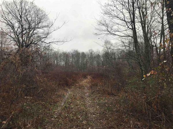 TBD Camp Ground Road, Tunnelton, WV 26444