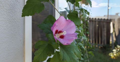 8031 Lichen Dr, Citrus Heights, CA 95621 Photo