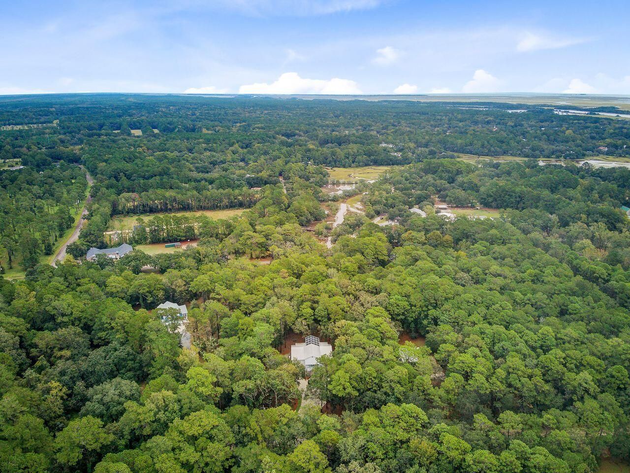 10088 Hercules Road Photo 42