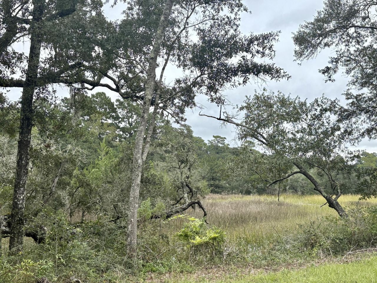 10088 Hercules Road Photo 45