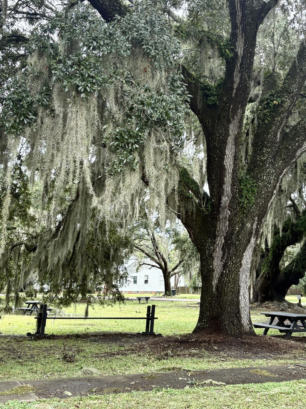 10088 Hercules Road Photo 48