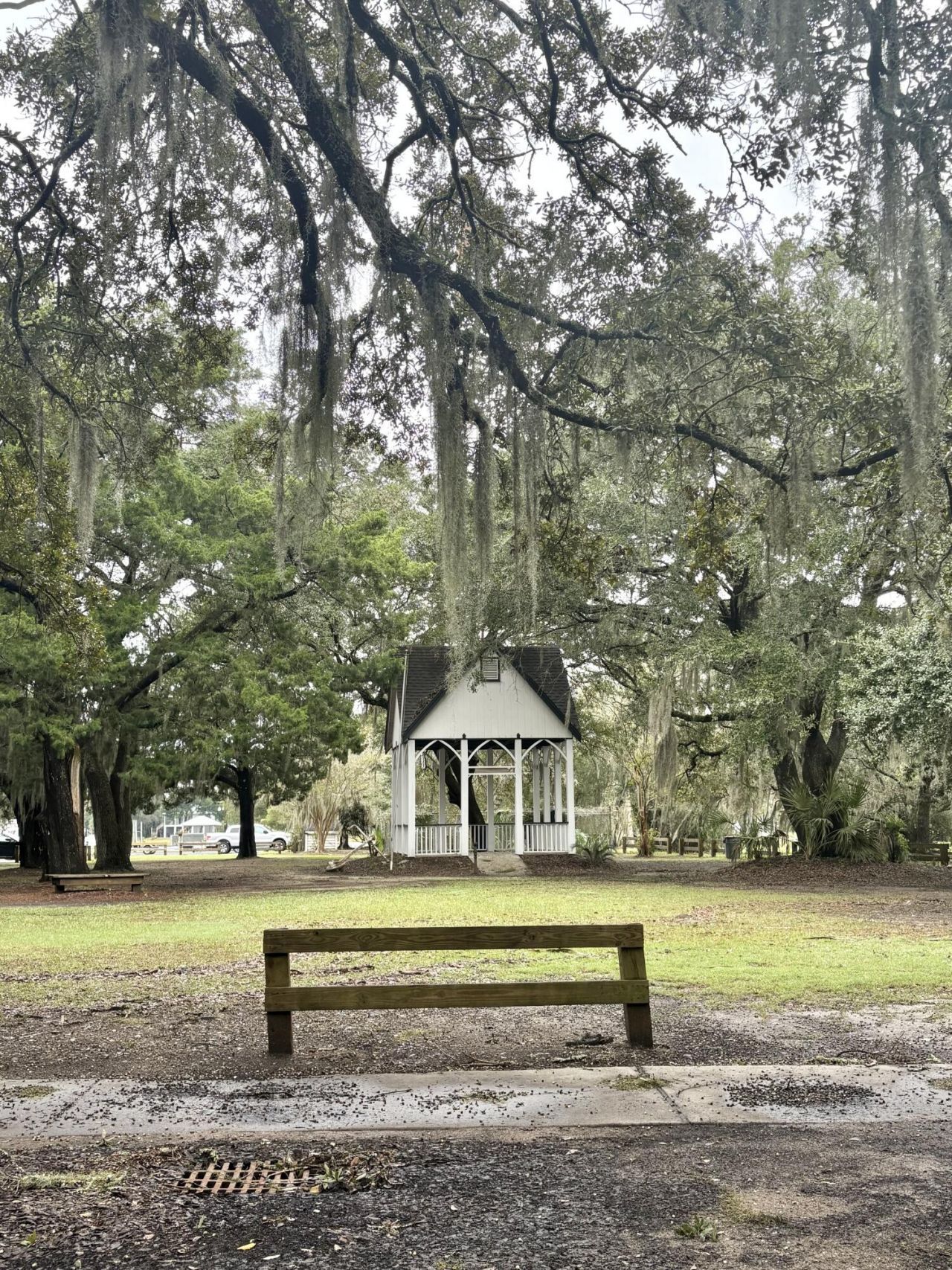 10088 Hercules Road Photo 49