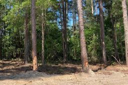 10735 Wilson Boulevard photo 4