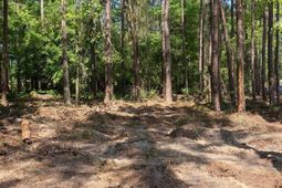 10735 Wilson Boulevard photo 4