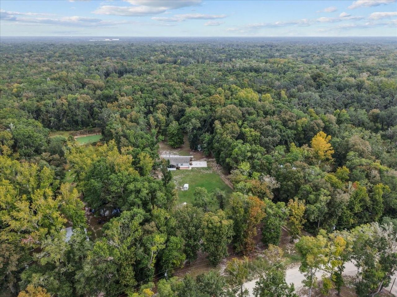 1549 NE 642nd Street, Old Town, FL 32680 Photo