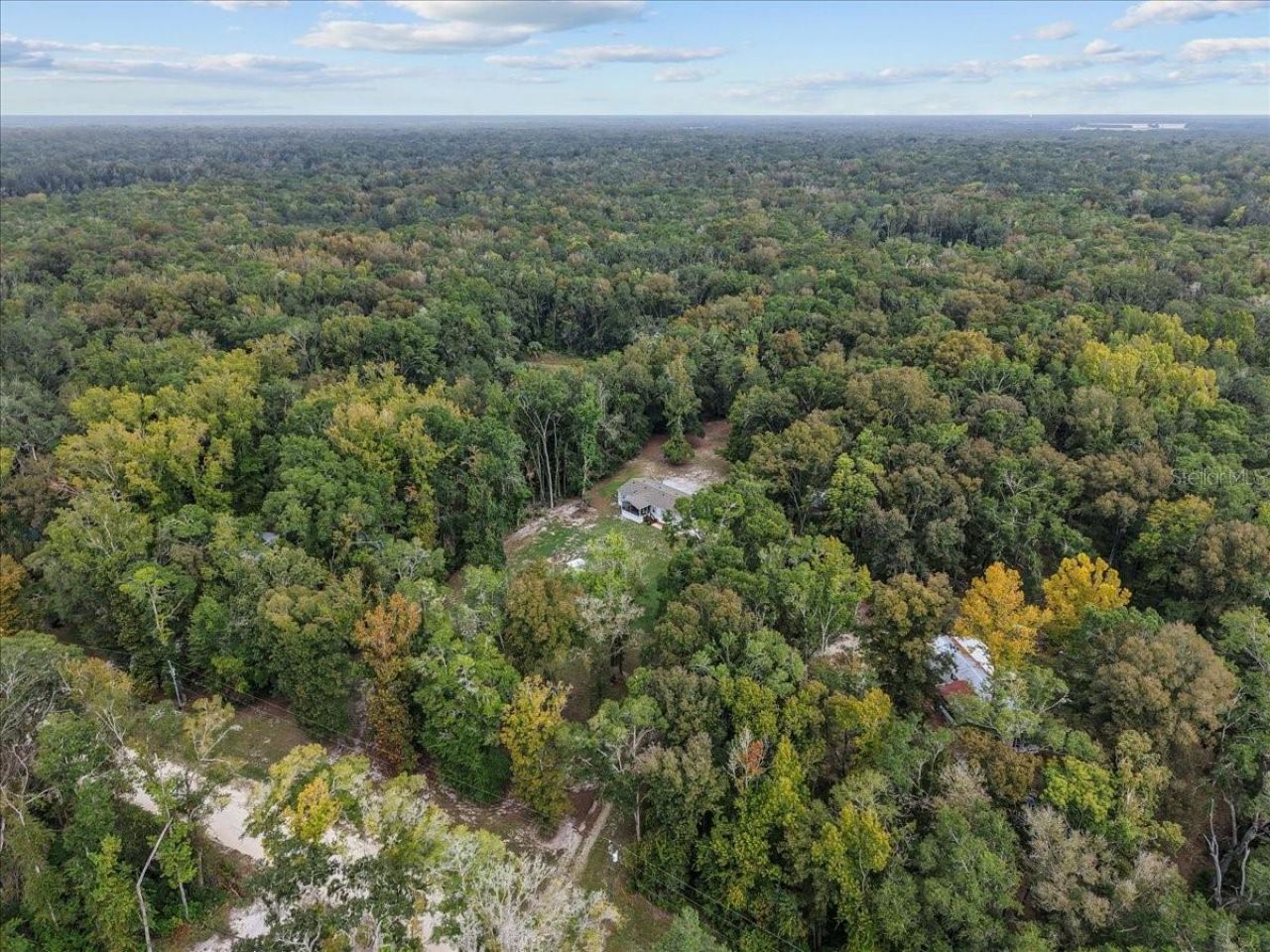 1549 NE 642nd Street, Old Town, FL 32680 Photo