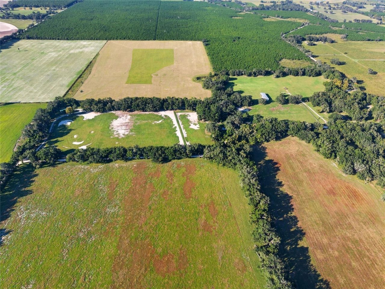 2551 NE 107th Place, Chiefland, FL 32626 Photo