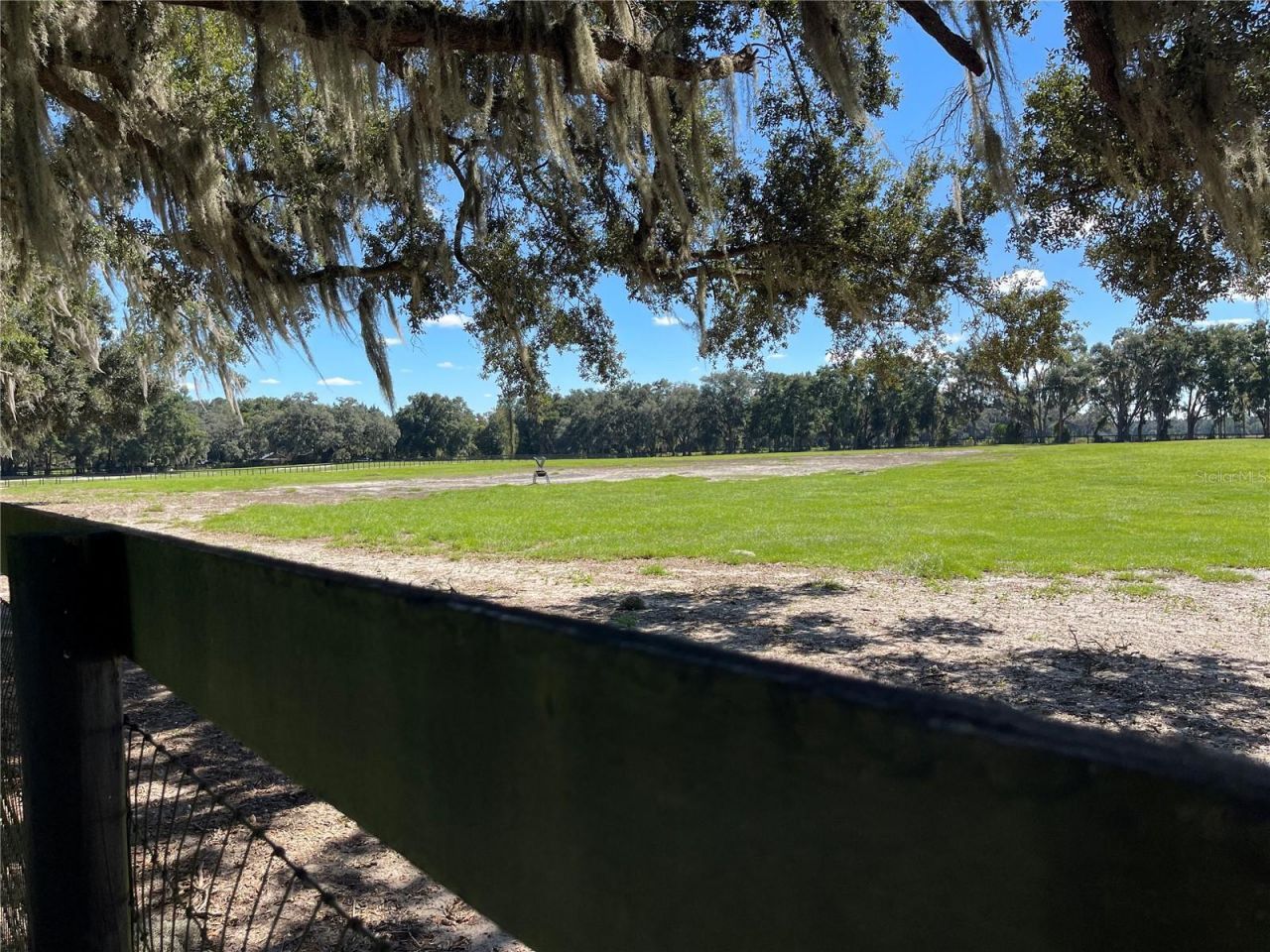 2551 NE 107th Place, Chiefland, FL 32626 Photo