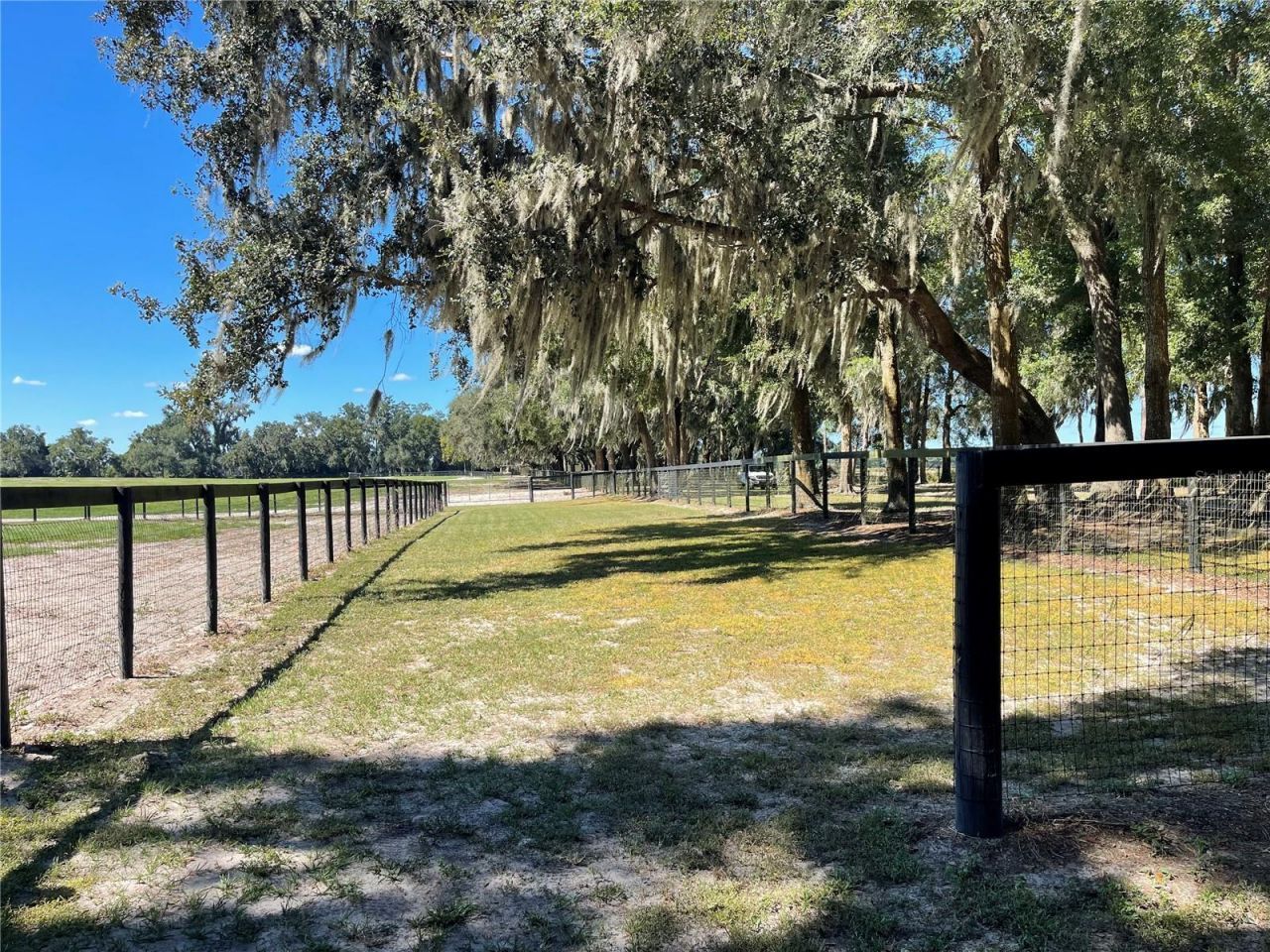 2551 NE 107th Place, Chiefland, FL 32626 Photo