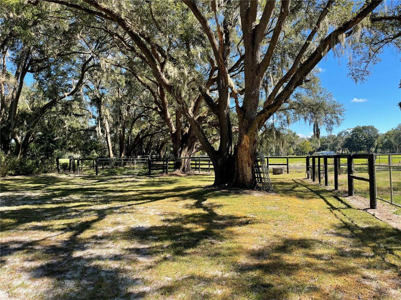 2551 NE 107th Place, Chiefland, FL 32626 Photo