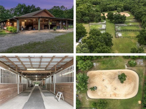 6490 NE 167TH AVENUE, WILLISTON, FL 32696