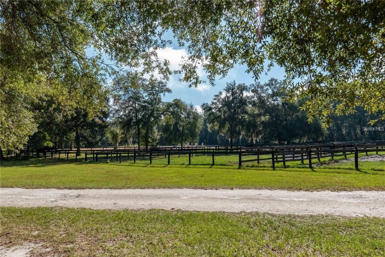 6490 NE 167th Avenue, Williston, FL 32696 Photo