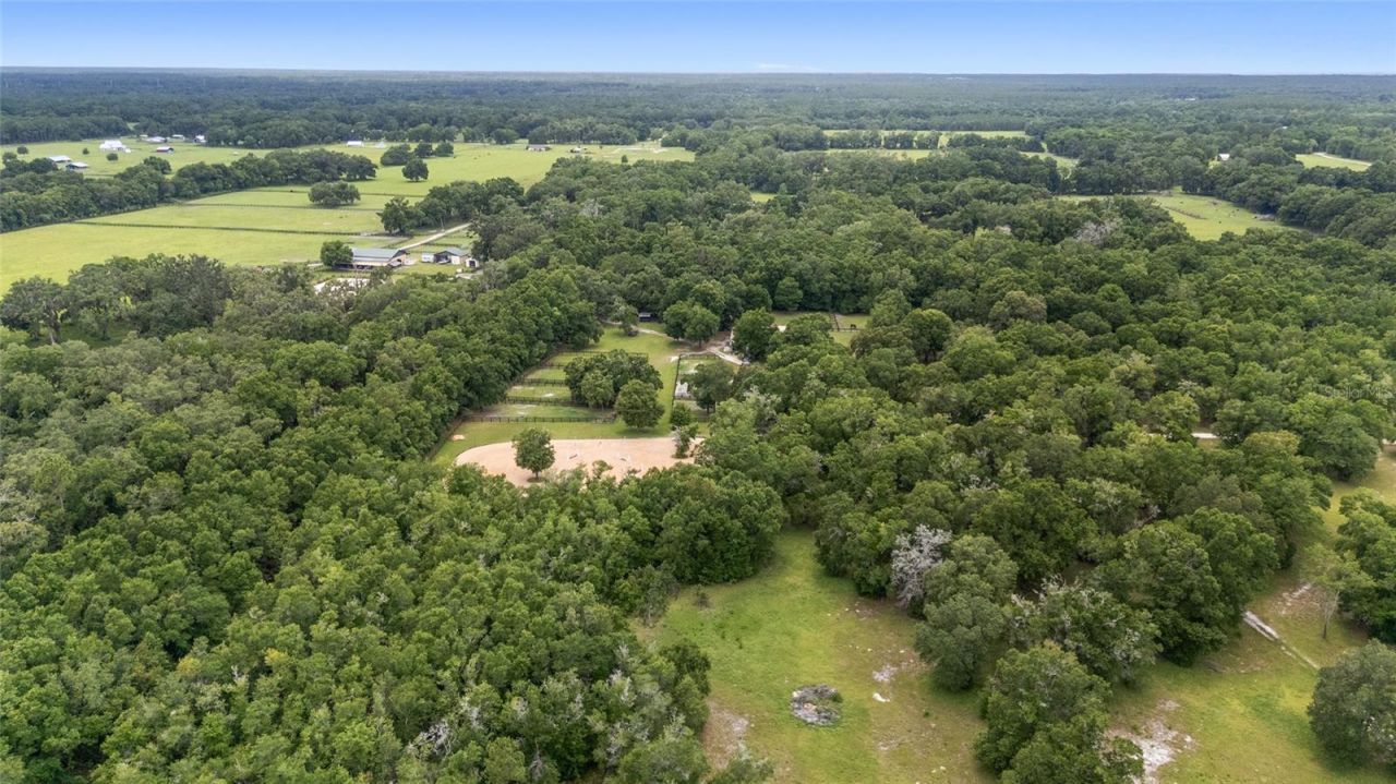 6490 NE 167th Avenue, Williston, FL 32696 Photo