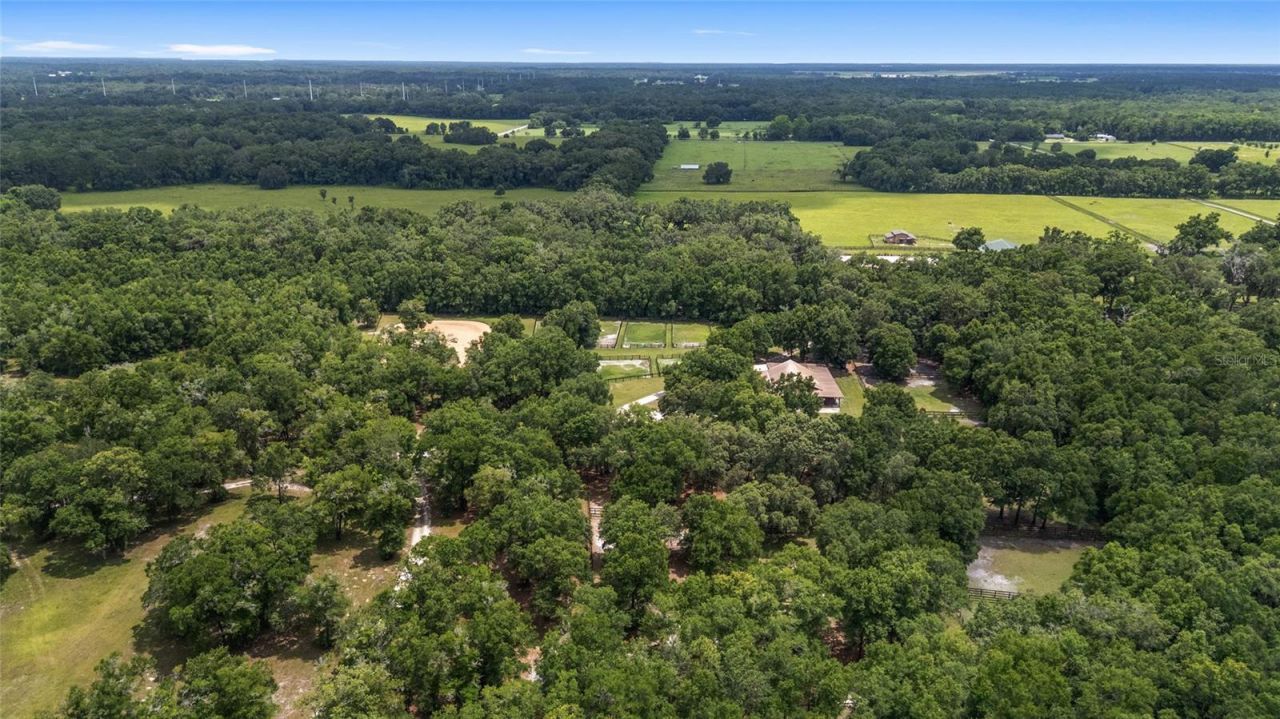 6490 NE 167th Avenue, Williston, FL 32696 Photo