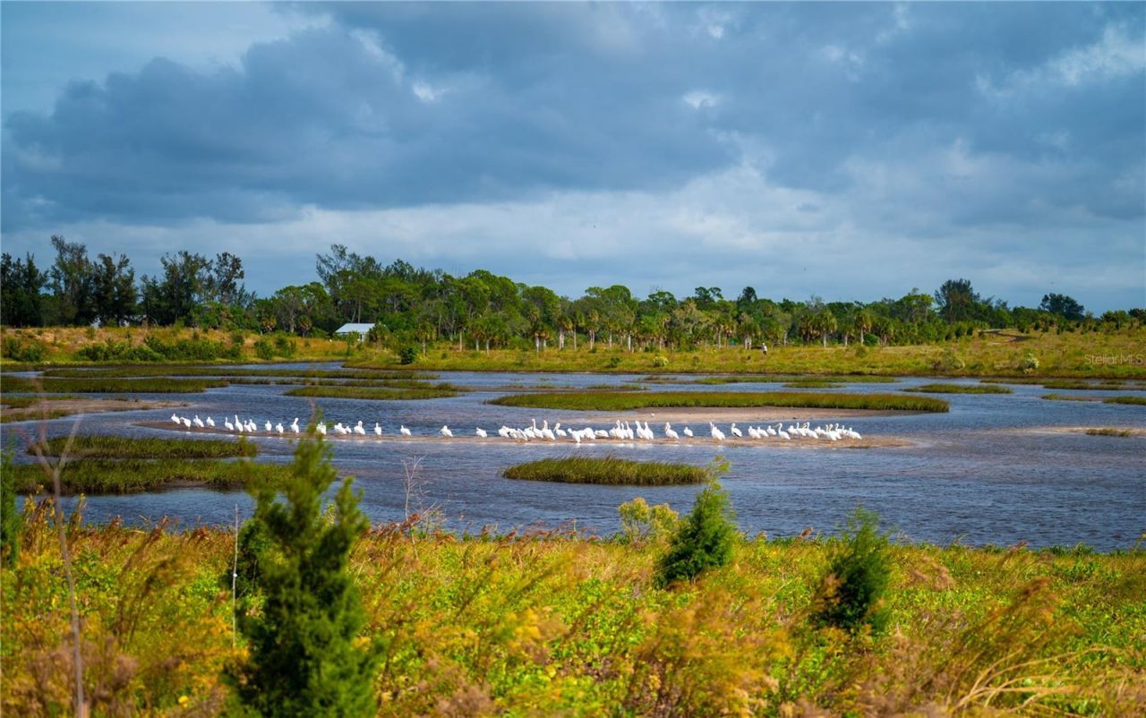 1727 86th Street Nw, Bradenton, FL 34209 Photo