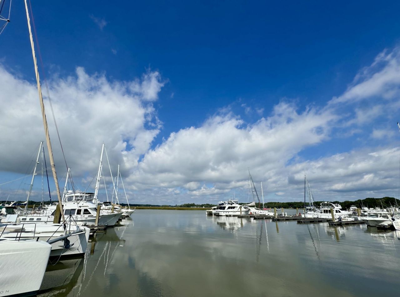 1880 Andell Bluff Boulevard Photo 6