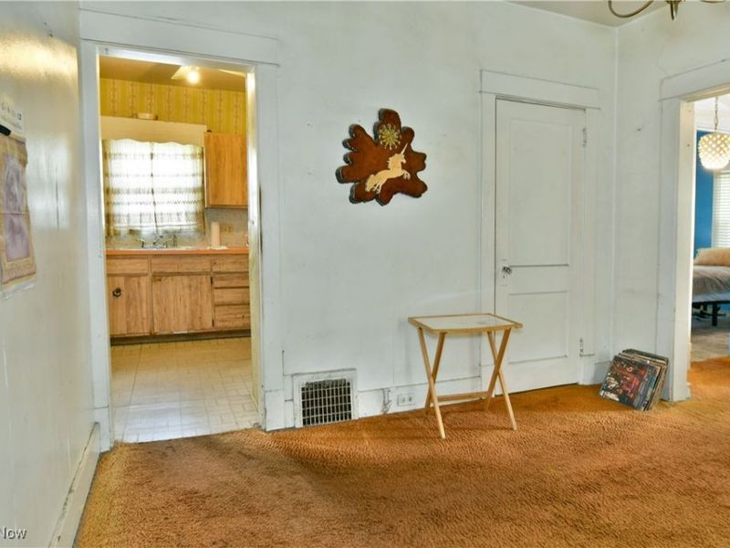 227 Maplewood Avenue, Struthers, OH 44471 Photo 22