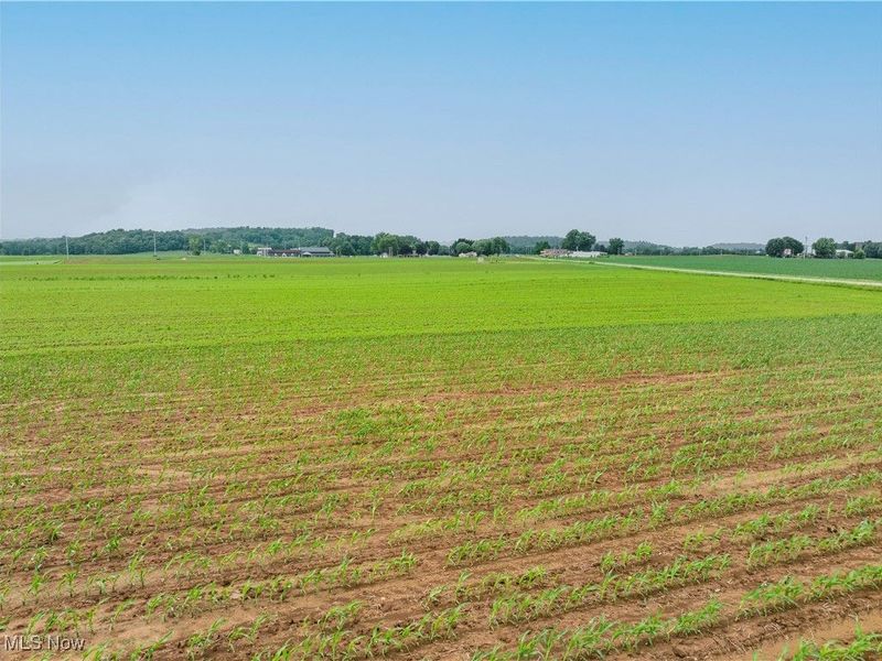 US RT 250, Beach City, OH 44608 Photo 8