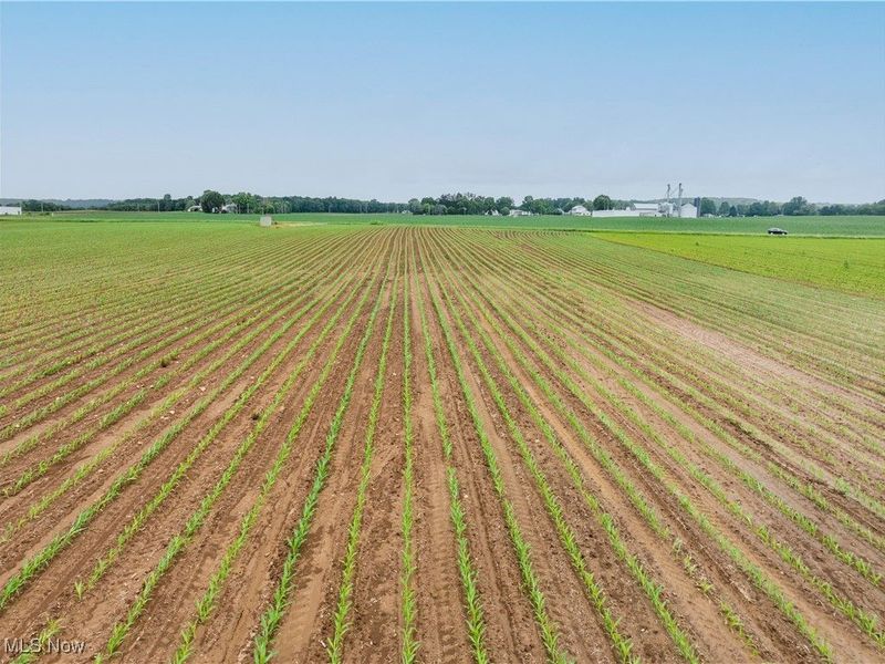 US RT 250, Beach City, OH 44608 Photo 10