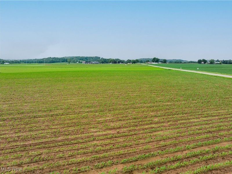 US RT 250, Beach City, OH 44608 Photo 7