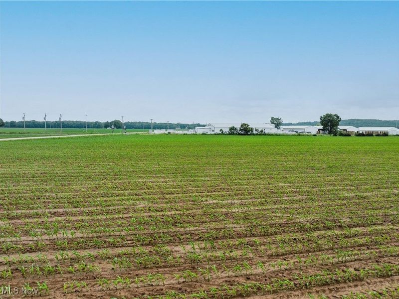 US RT 250, Beach City, OH 44608 Photo 9