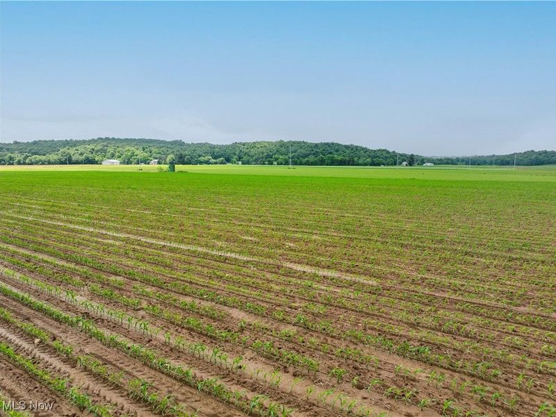 US RT 250, Beach City, OH 44608 Photo 11