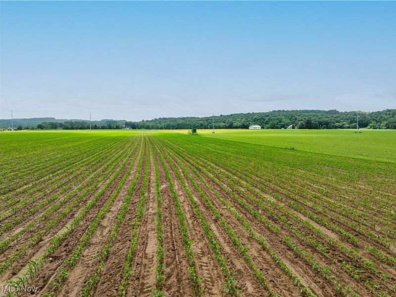 US RT 250, Beach City, OH 44608 Photo 13