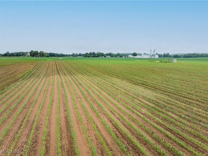 US RT 250, Beach City, OH 44608 Photo 16