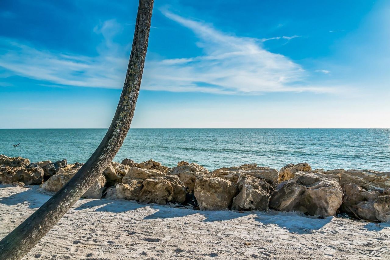 1253 N Basin Lane, Sarasota, FL 34242 Photo