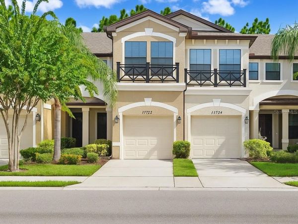 11722 CROWNED SPARROW LANE, TAMPA, FL 33626