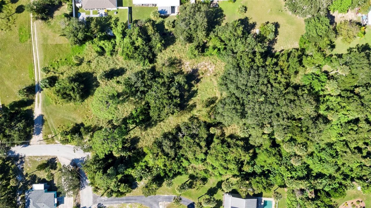 Wilkinson Avenue, Edgewater, FL 32132 Photo