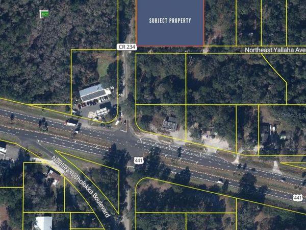 102 NE 9TH AVENUE, MICANOPY, FL 32667