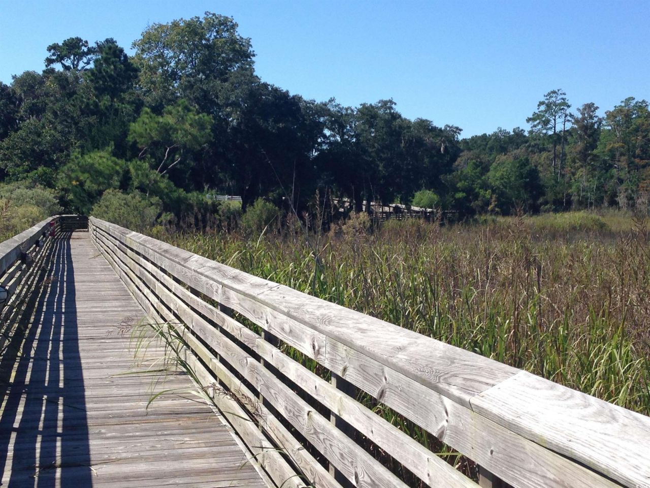 Lot 142 Millbank Rd. Photo 22