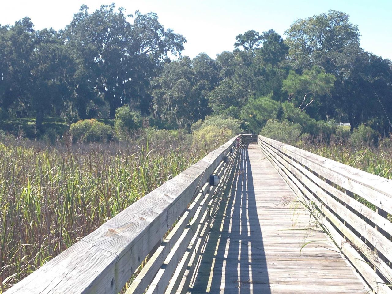 Lot 142 Millbank Rd. Photo 23