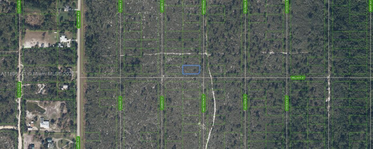 700 Watterson, Lake Placid, FL 33852 Photo
