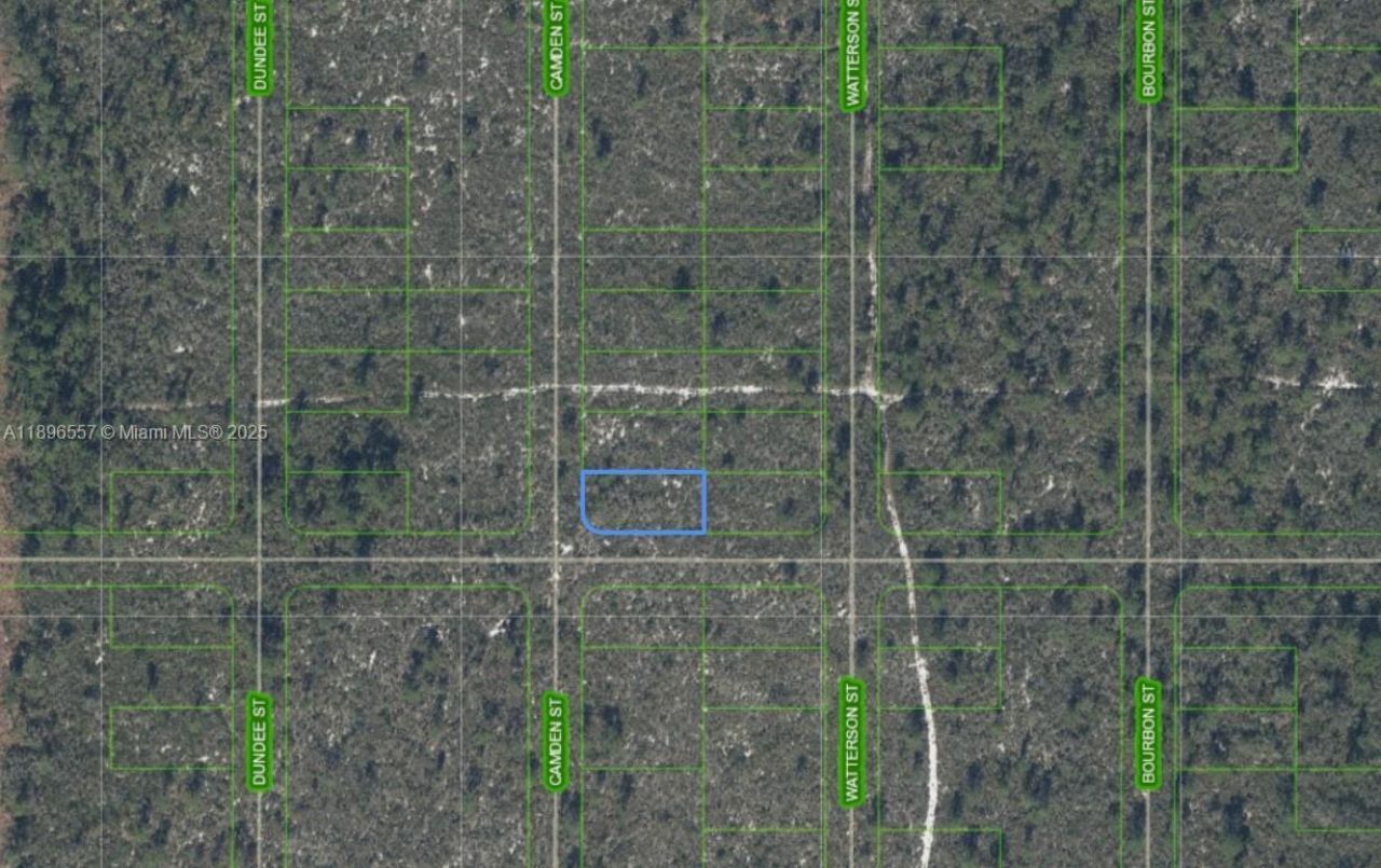 701 Camden St, Lake Placid, FL 33852 Photo