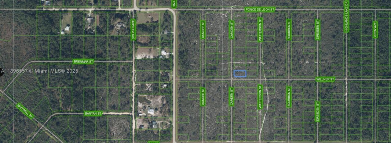 701 Camden St, Lake Placid, FL 33852 Photo