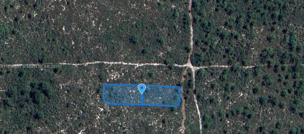 701 Camden St, Lake Placid, FL 33852 Photo