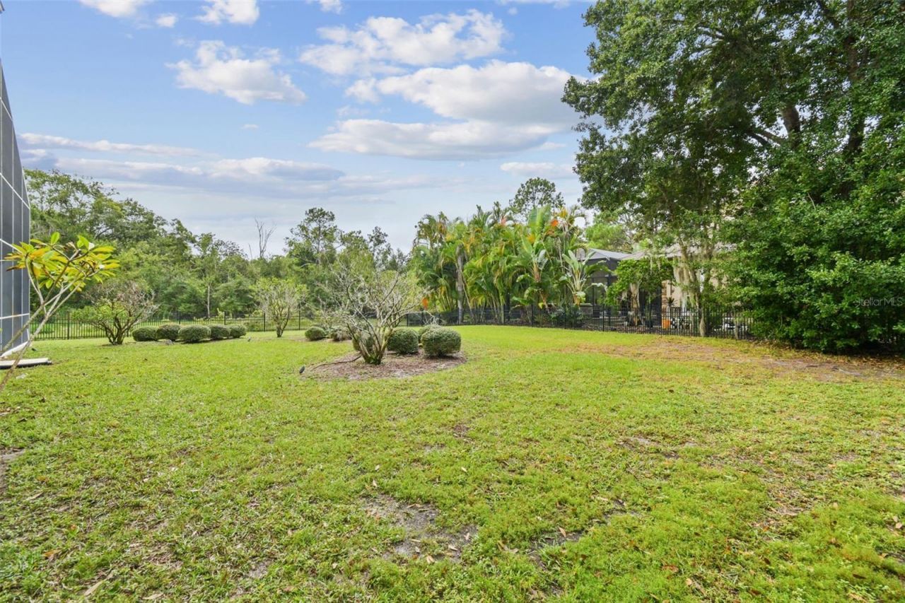 3020 Kensington Trace, Tarpon Springs, FL 34688 Photo