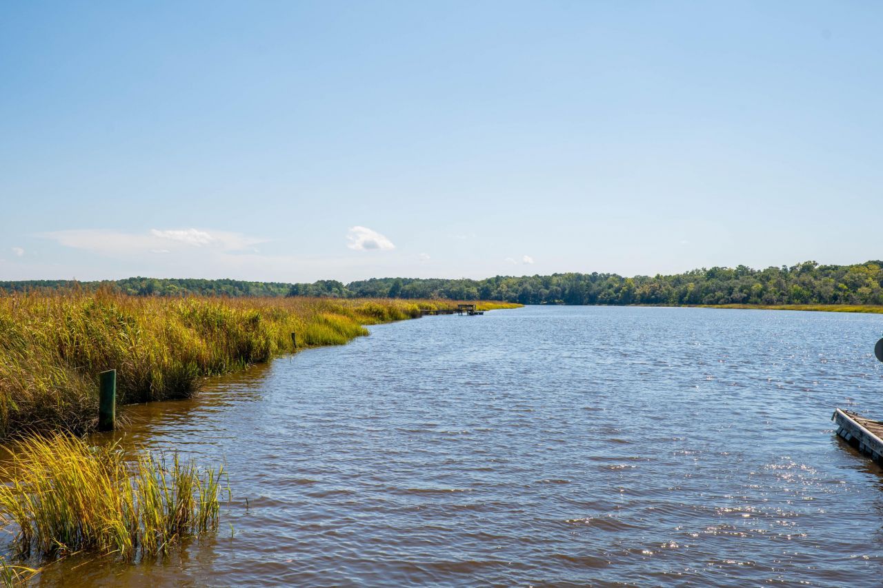 316 Anadale Court Photo 65