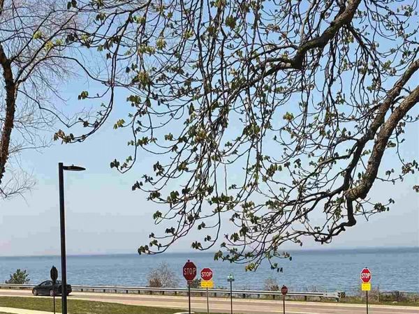 804 Arlington Ave, Unit 6, Petoskey, MI 49770