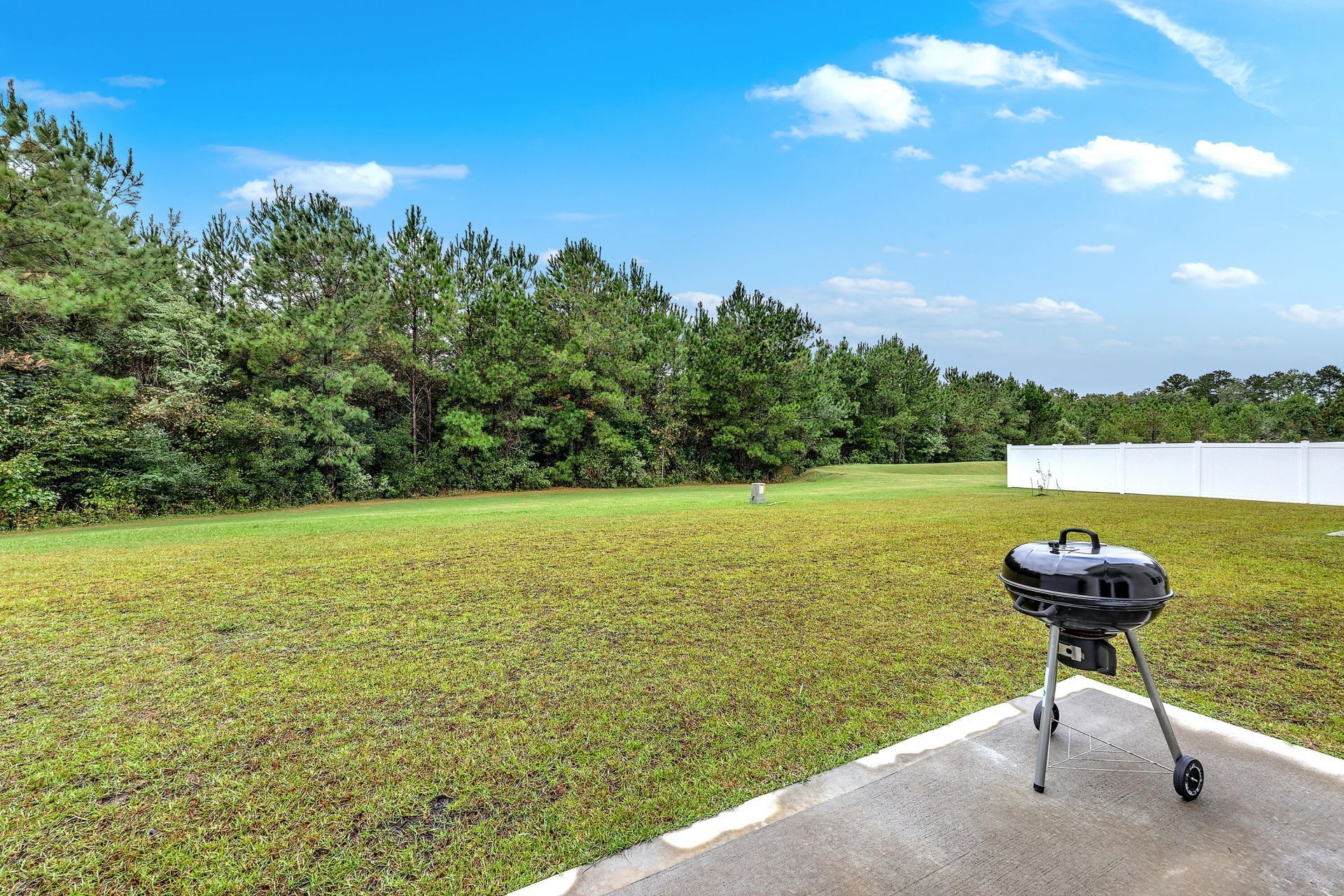 159 Hawthorne Landing Drive Photo 21