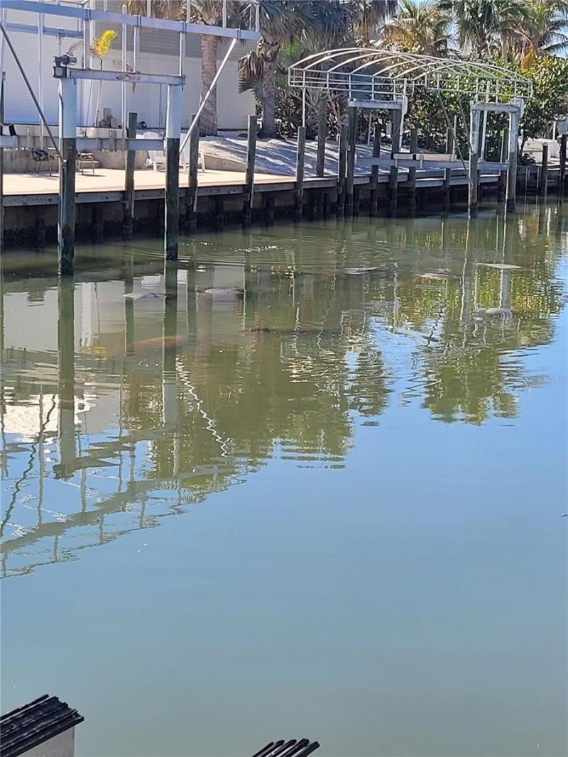 600 Lookout Alley, Placida, FL 33946 Photo