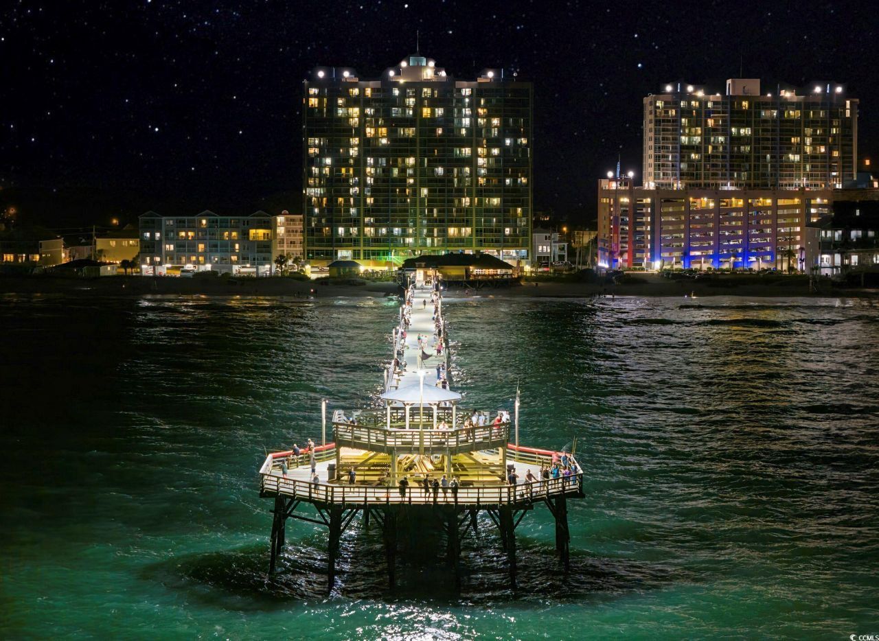 1317 Beach Way Ln. Photo 29