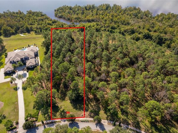 16830 ARTIMINO LOOP, MONTVERDE, FL 34756