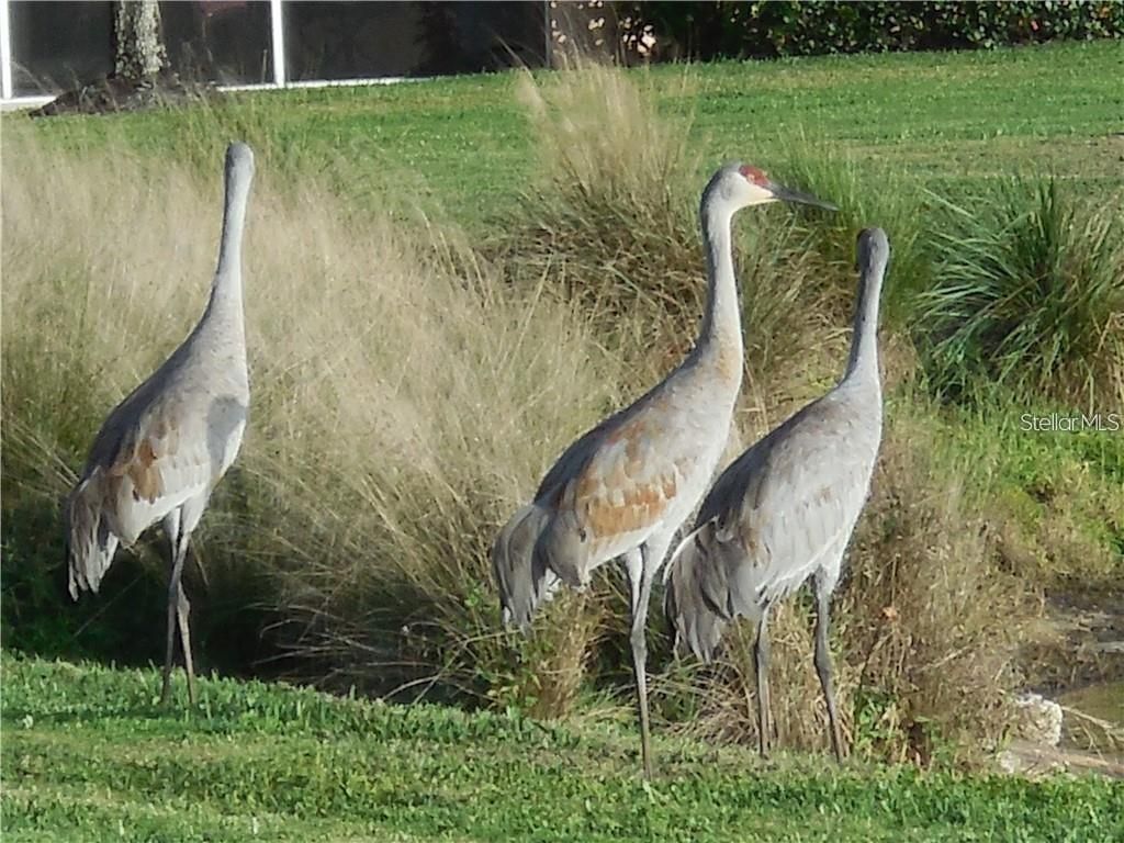 2081 Willow Hammock Circle, Unit F105, Punta Gorda, FL 33983 Photo